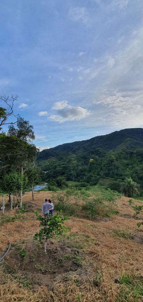 Finca en  Venta en Santander, El playon - Miniatura 8
