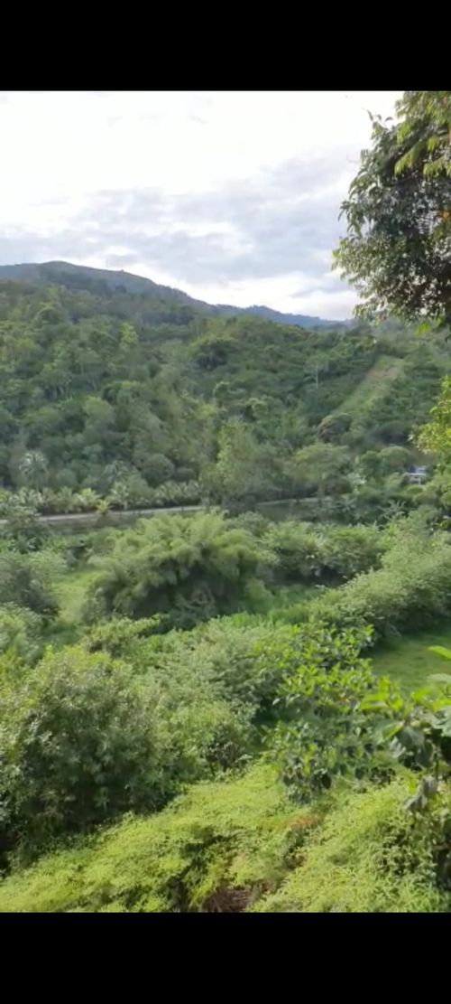 Finca en  Venta en Santander, El playon - Miniatura 9