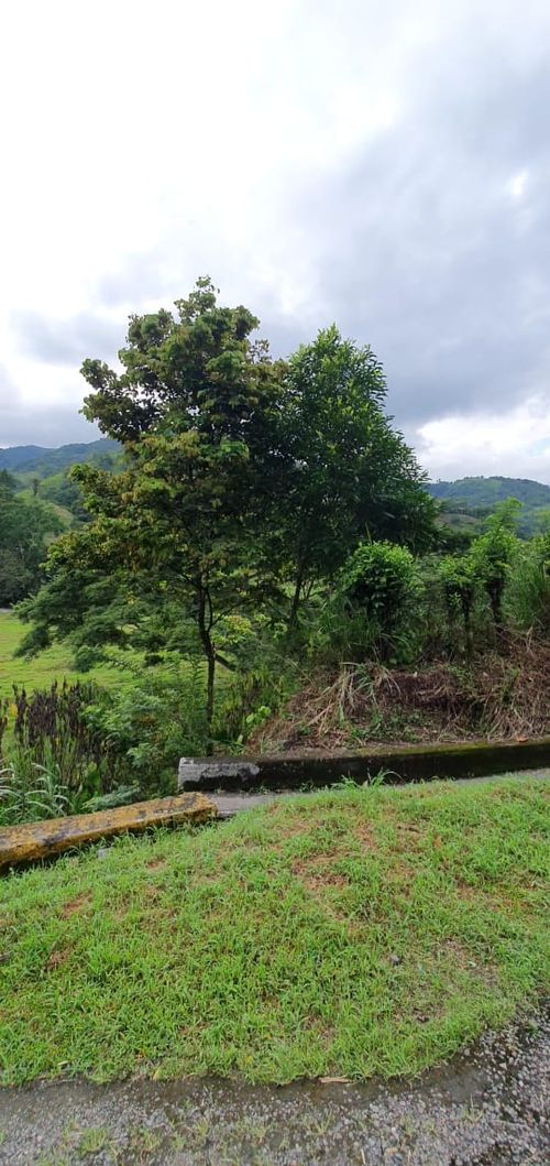 Finca en  Venta en Santander, El playon - Miniatura 11