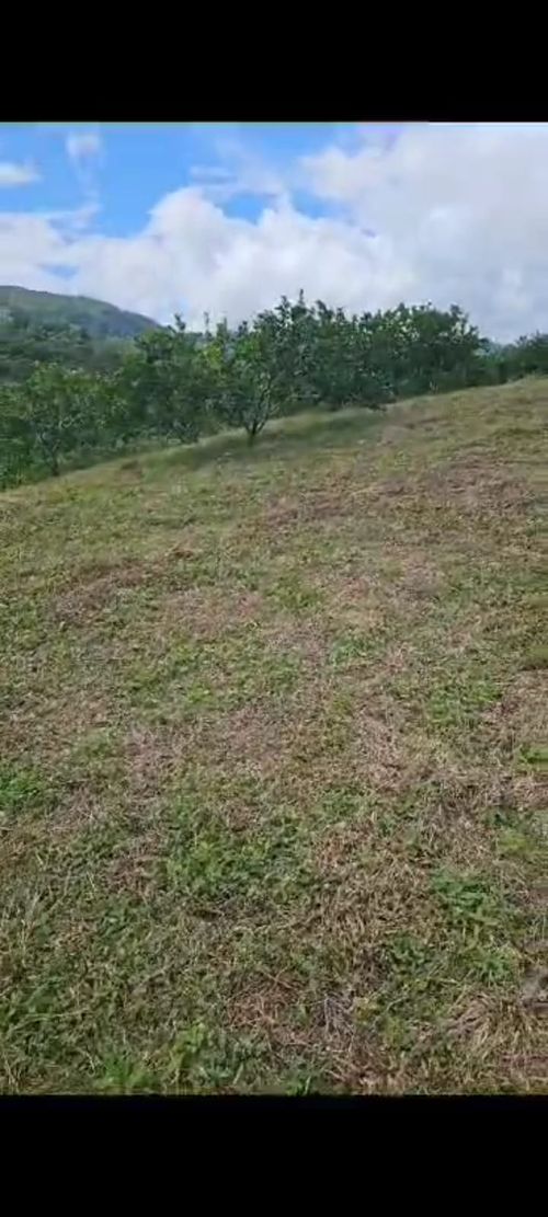 Finca en  Venta en Santander, El playon - Miniatura 13