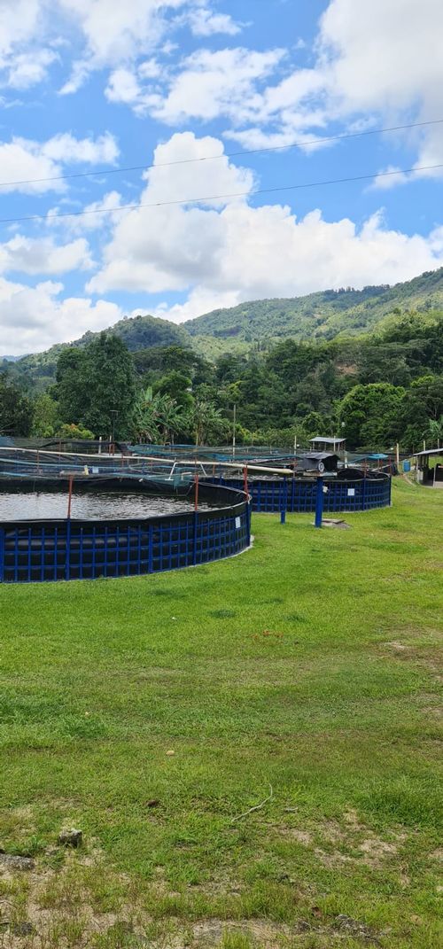 Finca en  Venta en Santander, El playon - Miniatura 16