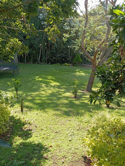 Finca en  Venta en La sonadora, El carmen de viboral - Miniatura 20