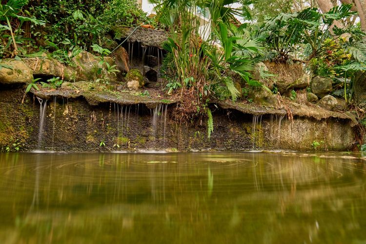 Finca en  Venta en San Jerónimo - Miniatura 4