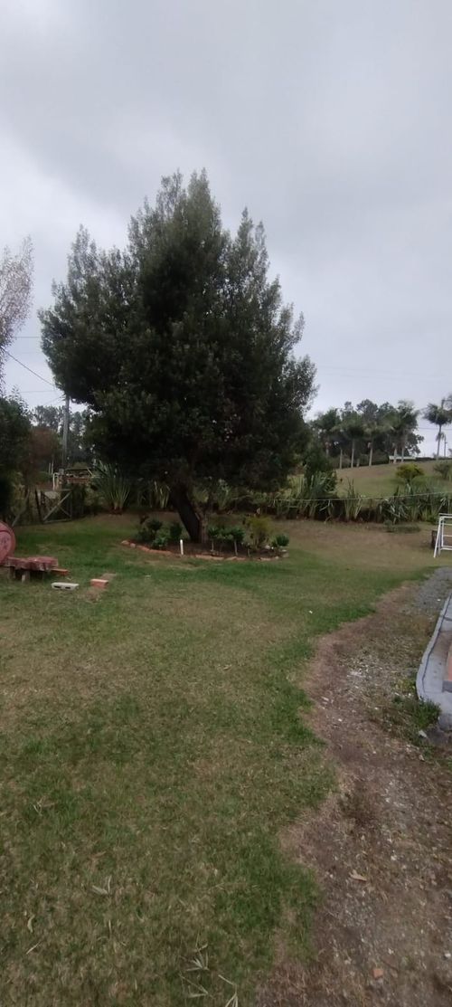 Finca en  Venta en Santa Elena, Medellín - Miniatura 10