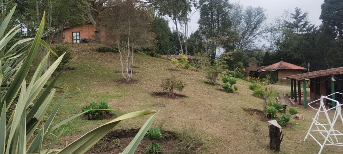 Finca en  Venta en Santa Elena, Medellín - Miniatura 12