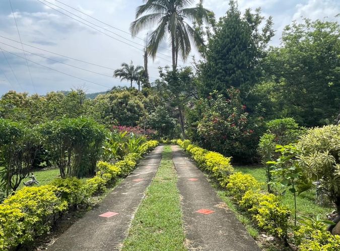 Finca en  Venta en Villeta - Miniatura 2