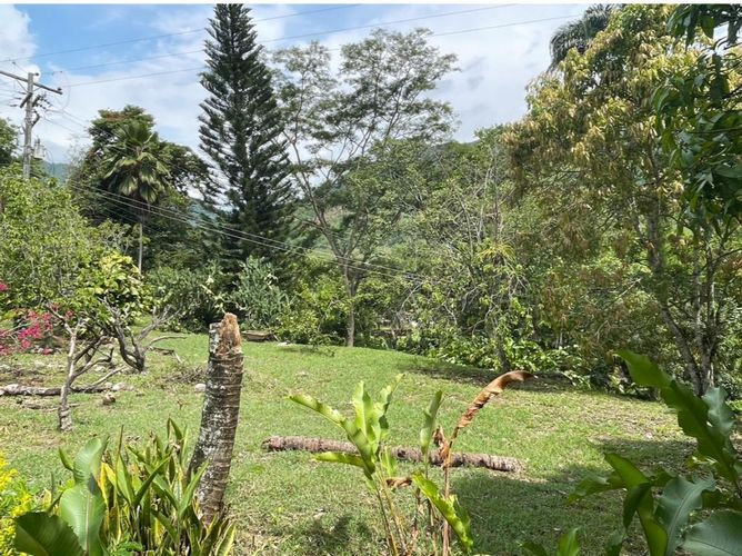 Finca en  Venta en Villeta - Miniatura 4
