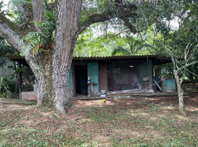 Finca en  Venta en Villeta - Miniatura 5