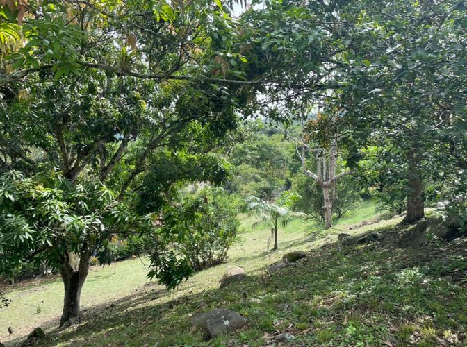 Finca en  Venta en Villeta - Miniatura 6