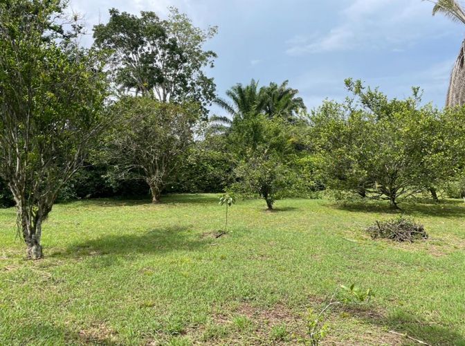 Finca en  Venta en Villeta - Miniatura 10