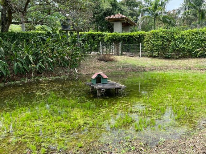 Finca en  Venta en Villeta - Miniatura 12