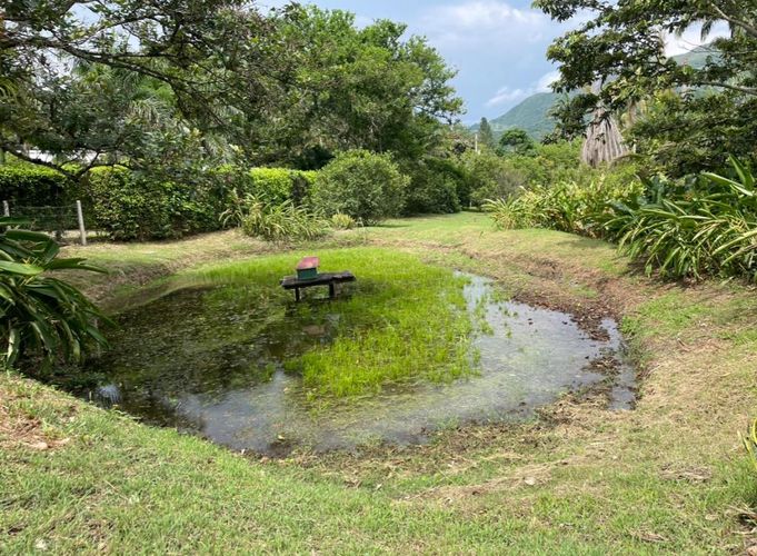 Finca en  Venta en Villeta - Miniatura 13