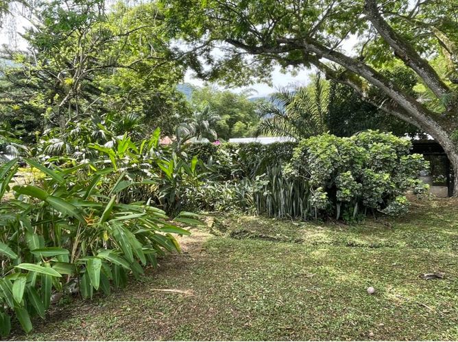 Finca en  Venta en Villeta - Miniatura 14