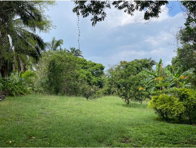 Finca en  Venta en Villeta - Miniatura 17