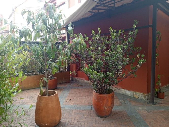 Local en  Arriendo en Quinta camacho, Bogotá - Miniatura 4