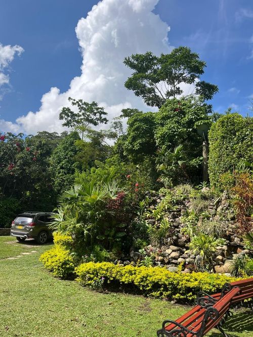 Finca en  Arriendo en Nocaima - Miniatura 18