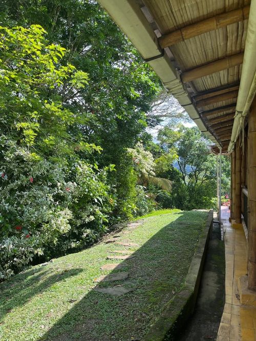 Finca en  Arriendo en Nocaima - Miniatura 19