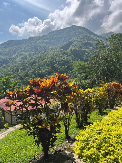 Finca en  Arriendo en Nocaima - Miniatura 20