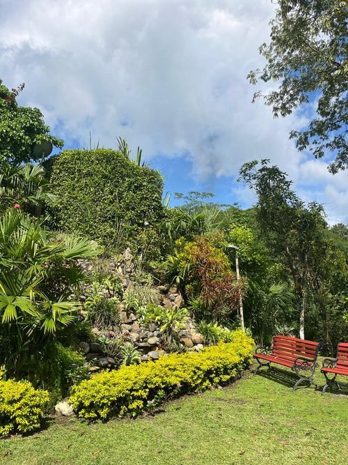 Finca en  Arriendo en Nocaima - Miniatura 21
