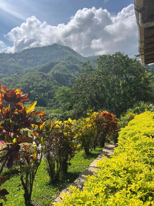Finca en  Arriendo en Nocaima - Miniatura 26