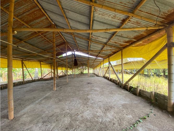Finca en  Venta en Armenia - Imagen 1