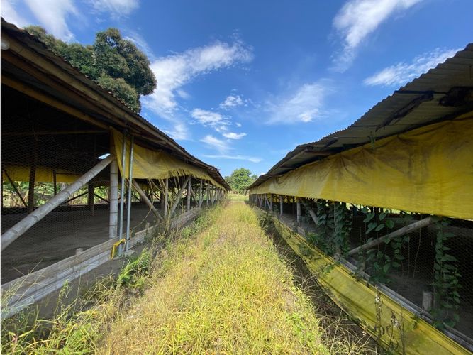 Finca en  Venta en Armenia - Miniatura 2
