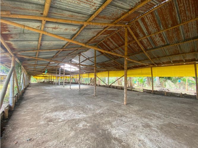 Finca en  Venta en Armenia - Miniatura 3