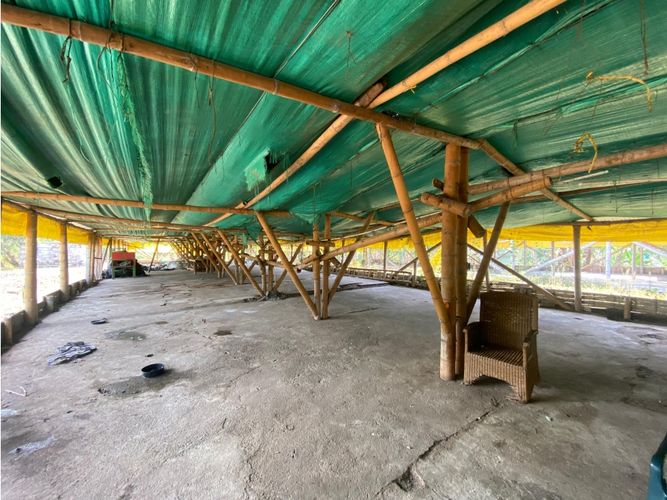 Finca en  Venta en Armenia - Miniatura 4