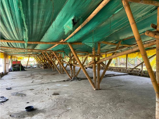 Finca en  Venta en Armenia - Miniatura 5