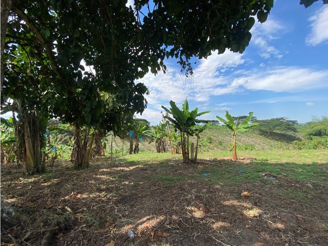 Finca en  Venta en Armenia - Miniatura 6