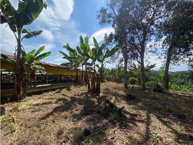 Finca en  Venta en Armenia - Miniatura 9