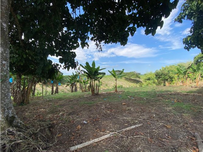 Finca en  Venta en Armenia - Miniatura 10