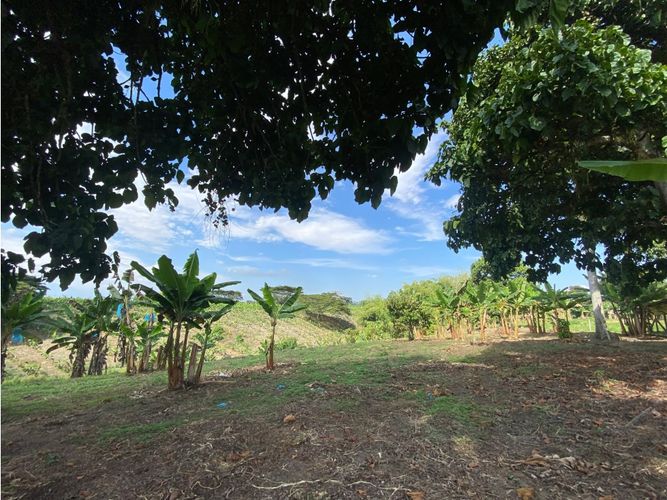Finca en  Venta en Armenia - Miniatura 11