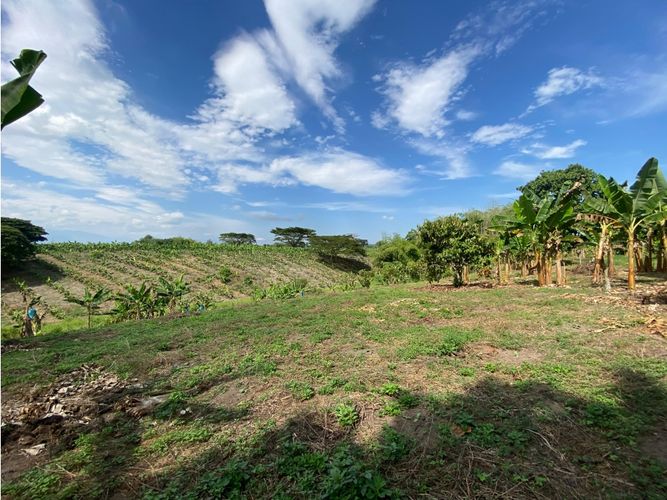 Finca en  Venta en Armenia - Miniatura 12