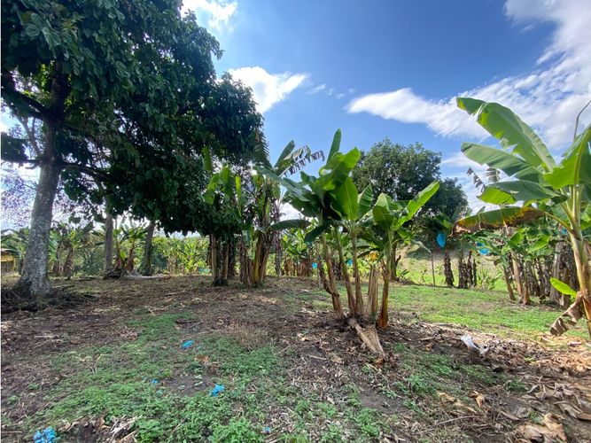 Finca en  Venta en Armenia - Miniatura 13