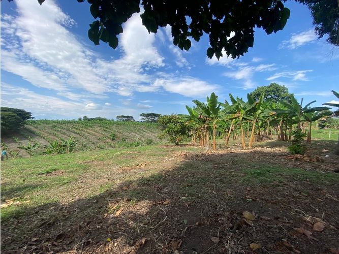 Finca en  Venta en Armenia - Miniatura 14