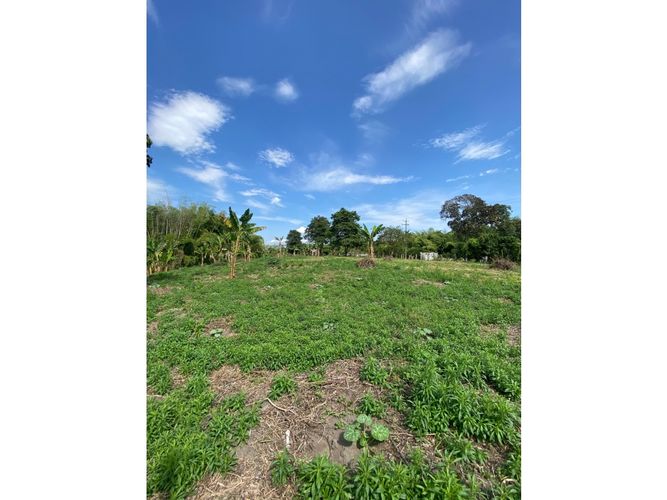 Finca en  Venta en Armenia - Miniatura 15