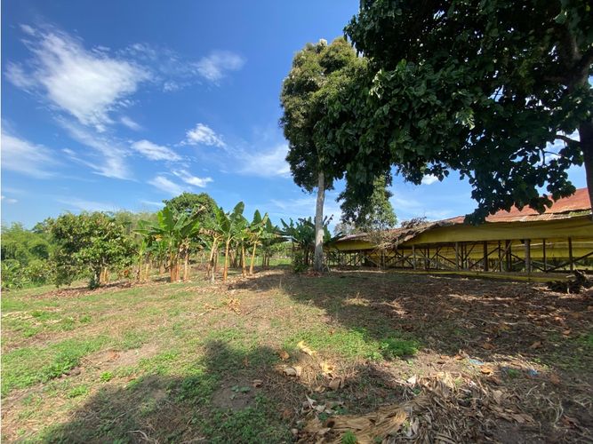 Finca en  Venta en Armenia - Miniatura 16