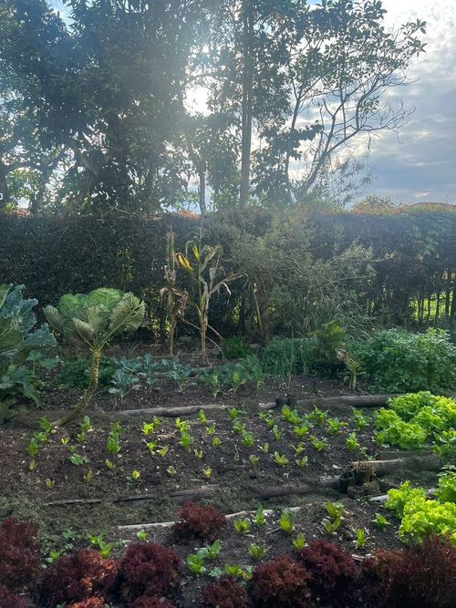 Finca en  Arriendo en El capiro, Rionegro - Miniatura 24