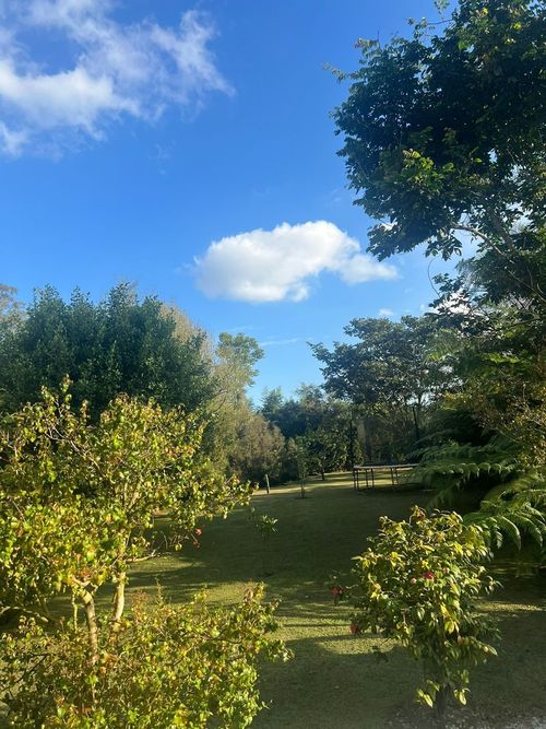 Finca en  Arriendo en El capiro, Rionegro - Miniatura 25