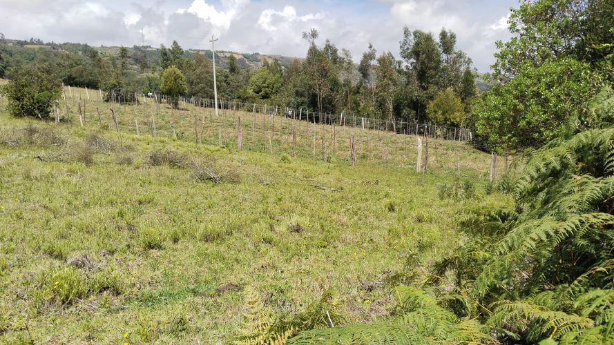 Finca en  Venta en Combita - Miniatura 4