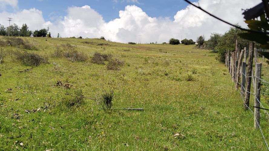 Finca en  Venta en Combita - Miniatura 6