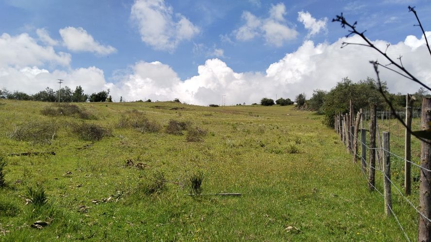 Finca en  Venta en Combita - Miniatura 7