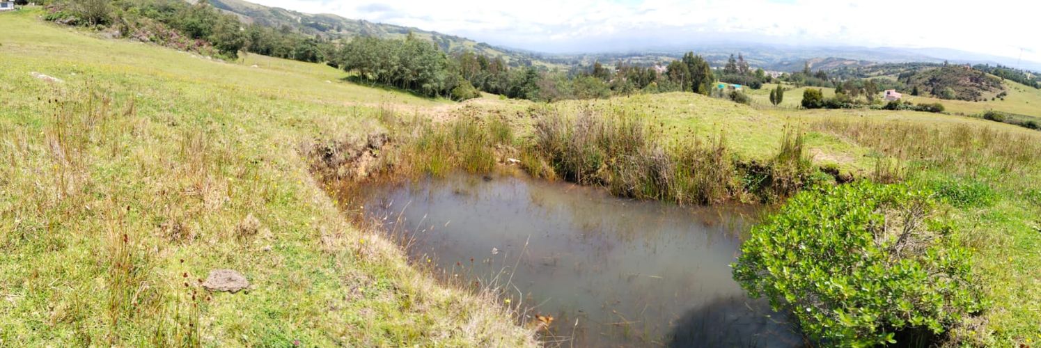 Finca en  Venta en Combita - Miniatura 8