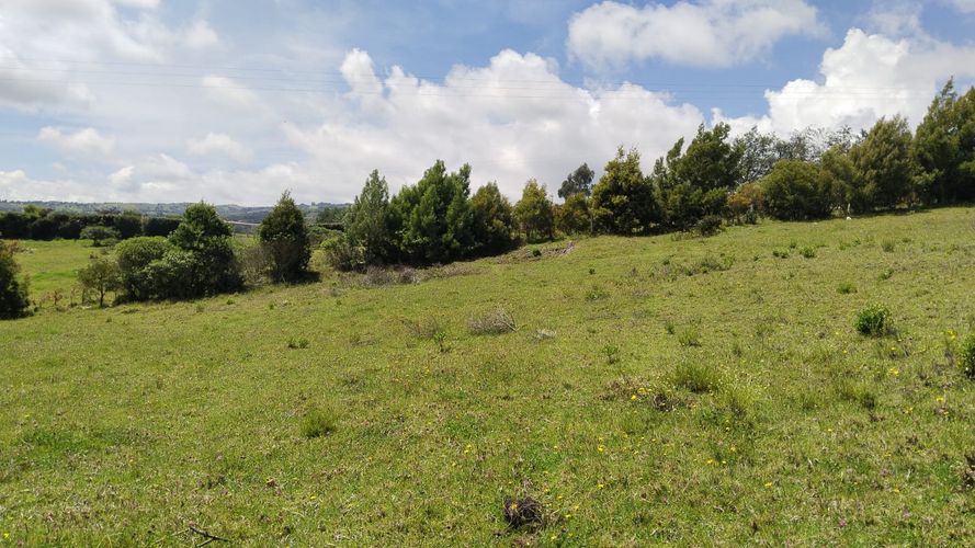 Finca en  Venta en Combita - Miniatura 9