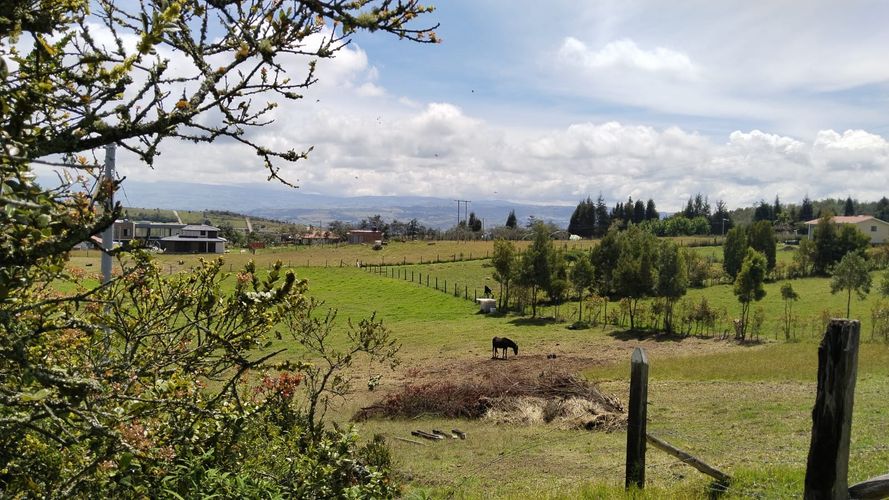 Finca en  Venta en Combita - Miniatura 12