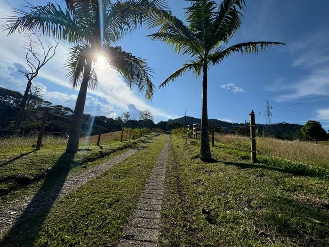 Finca en  Arriendo en Guamito, La ceja - Miniatura 23