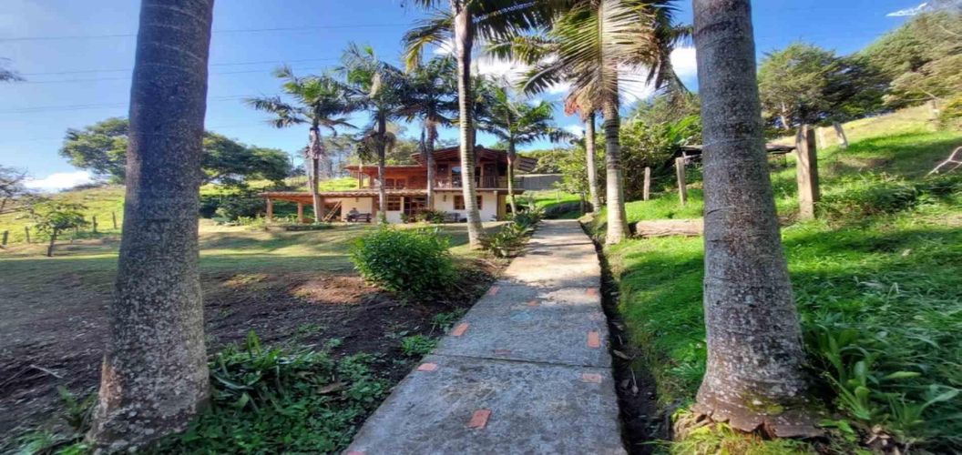 Finca en  Arriendo en El tambo, La ceja - Miniatura 8