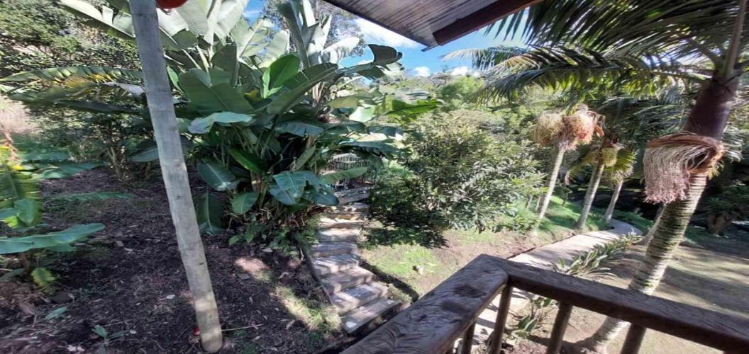 Finca en  Arriendo en El tambo, La ceja - Miniatura 22