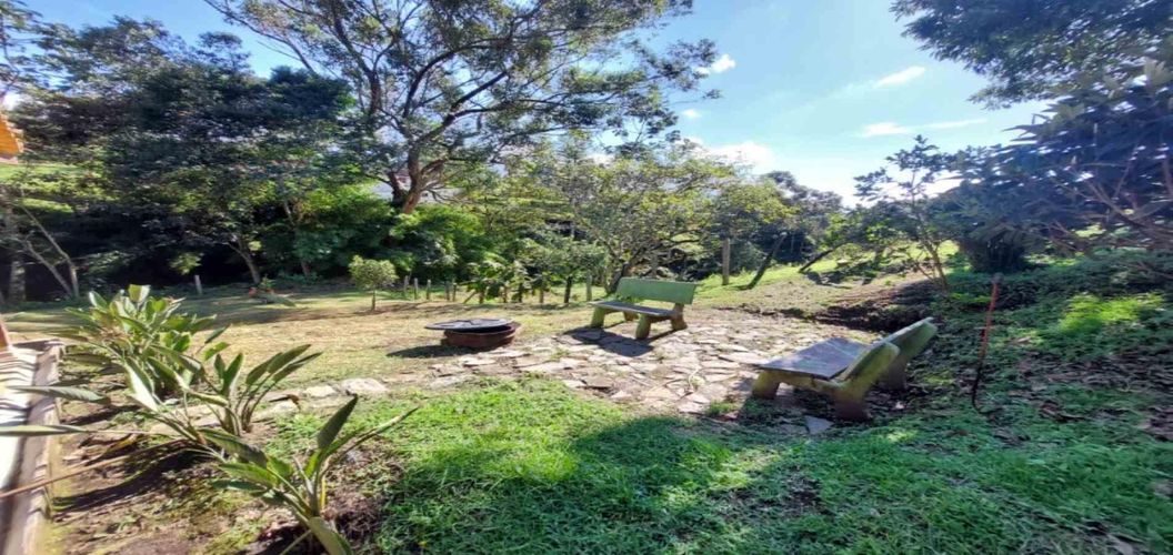 Finca en  Arriendo en El tambo, La ceja - Miniatura 23